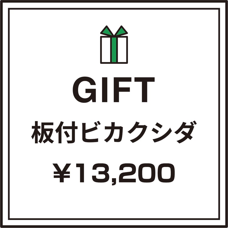 彩りを贈る】ギフト用おまかせ板付ビカクシダ | IMAMA