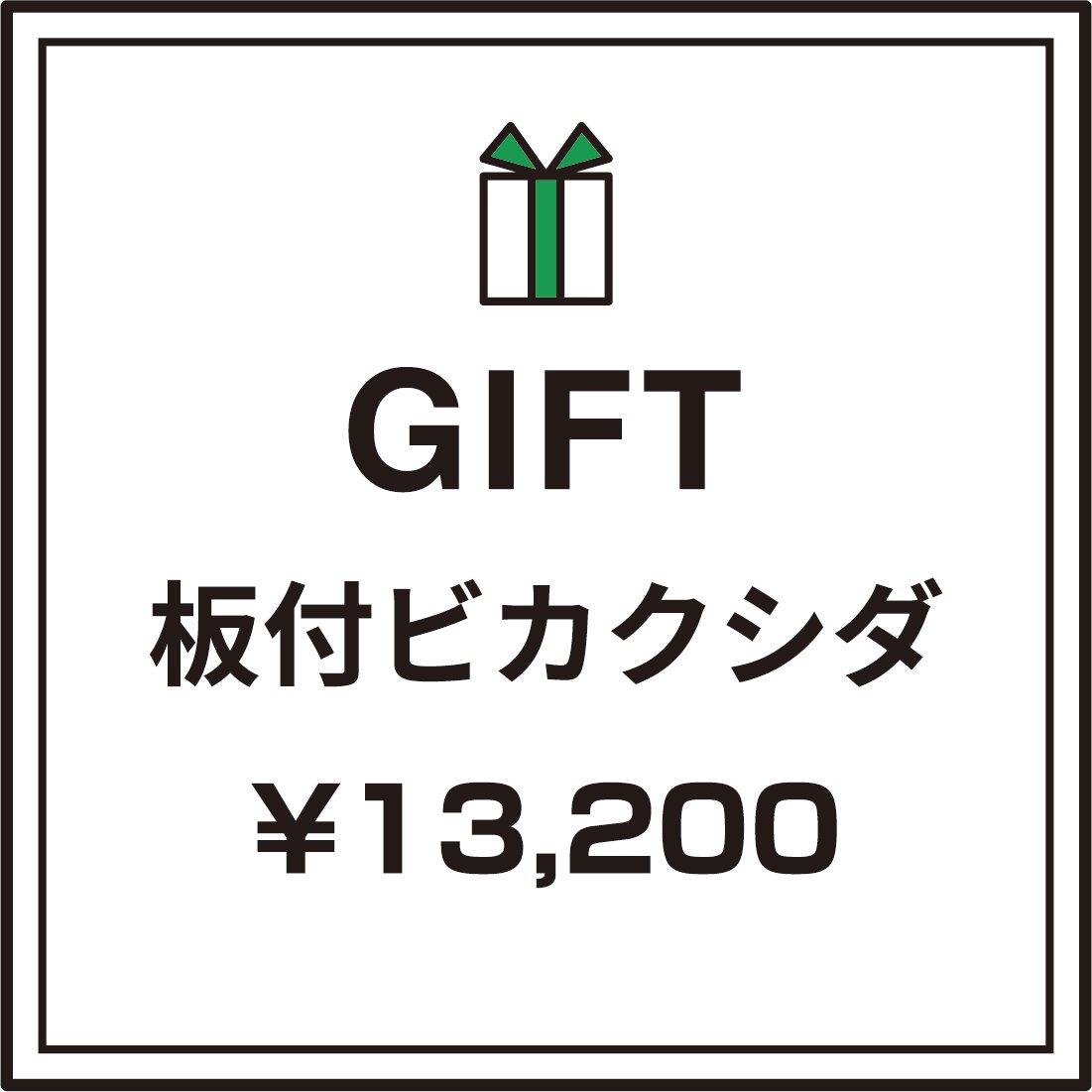 彩りを贈る】ギフト用おまかせ板付ビカクシダ | IMAMA
