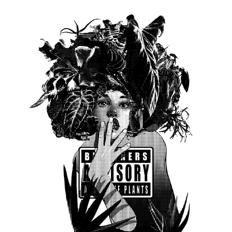 CATEGORY その他関連アイテム | IMAMA