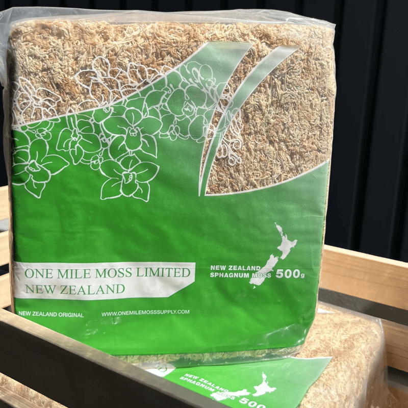 ニュージーランド産水苔 3A | IMAMA
