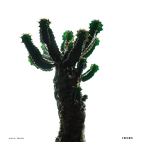 Recording_poster【color ver.】002