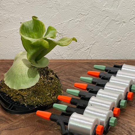 CATEGORY Botany dept. | IMAMA