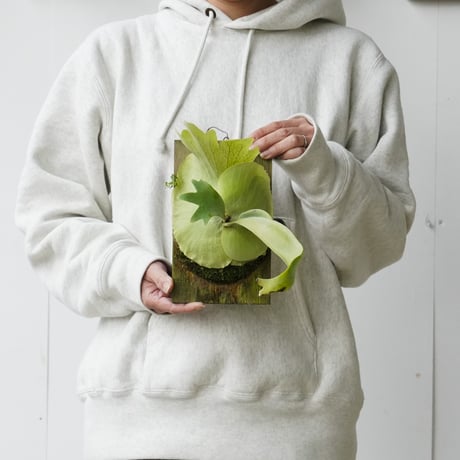 CATEGORY 〜¥10,000 | IMAMA