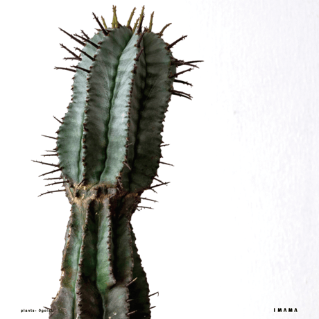 Recording_poster【color ver.】004