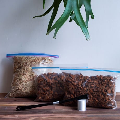 ゼブラ ショート 5'10 板整理 ゼブラ ショート 5´10 板整理