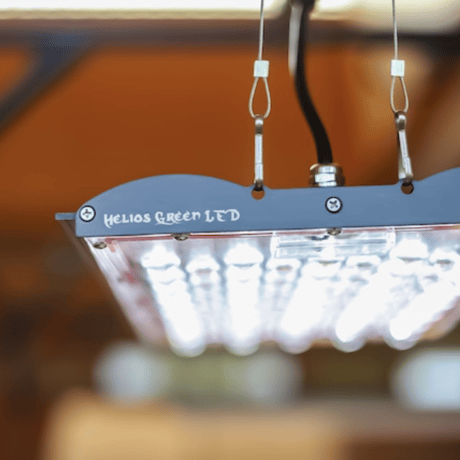 Helios Green LED PRO Booster 101　 ※電源ドライバー付き