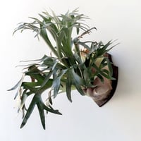 Pot house_90_12（システムトレー12穴＋パーツセット） | IMAMA
