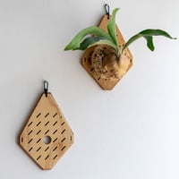 Fp P-Board MINI（クリア）