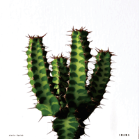 Recording_poster【color ver.】003