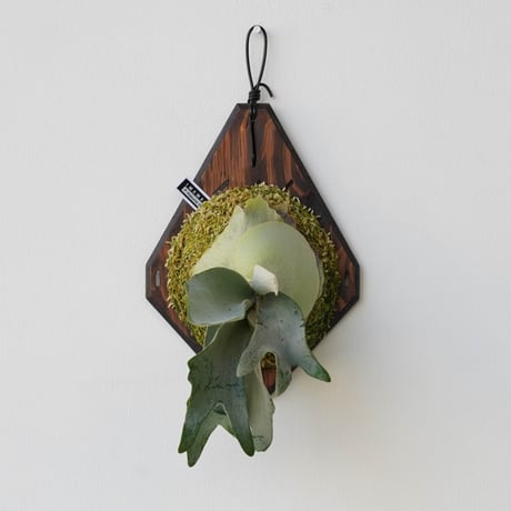 CATEGORY ¥30,000〜 | IMAMA