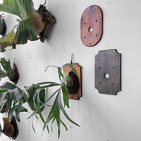 【現品】Fp P-Board frame_a  H30cm