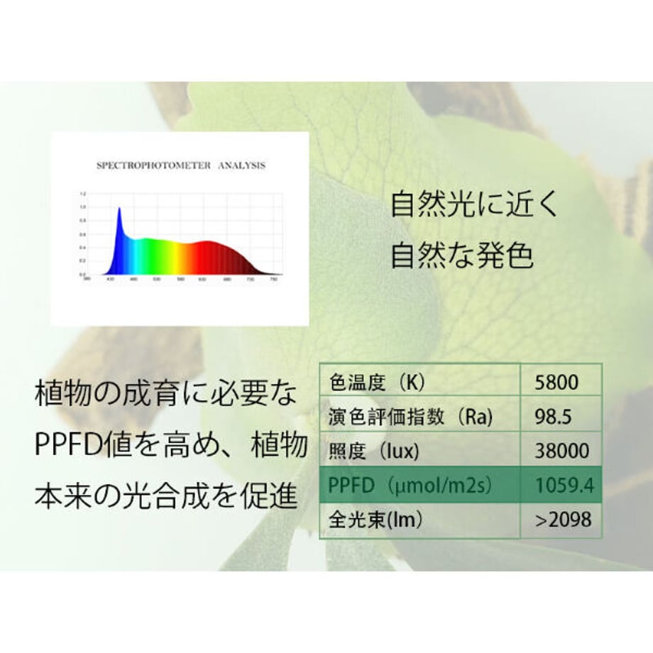 6360c9ebbd5e4d7ca67d4a55
