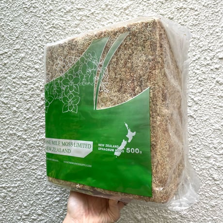 ニュージーランド産水苔　5A