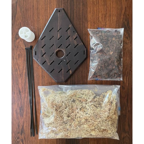 CATEGORY その他関連アイテム | IMAMA