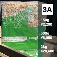 ビカクシダ胞子培養 エントリーセット ＜コラボver.＞ | IMAMA