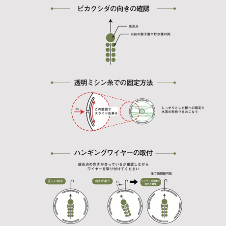 【現品】Fp P-Board circle