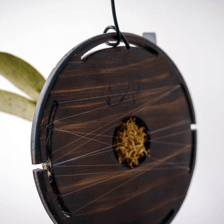 【現品】Fp P-Board circle