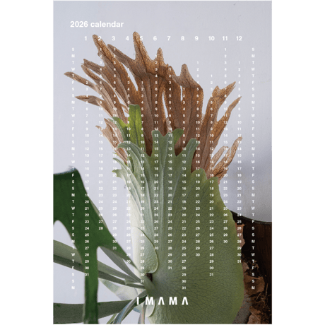 CATEGORY その他関連アイテム | IMAMA