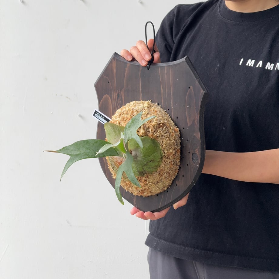 6a216022d8e56a180d33b422