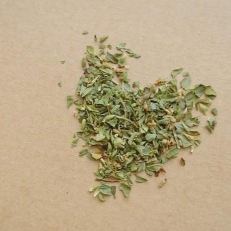 野生のオレガノ 10g