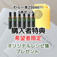 わら一本250ml×6本ｾｯﾄ 希望者特典★2冊