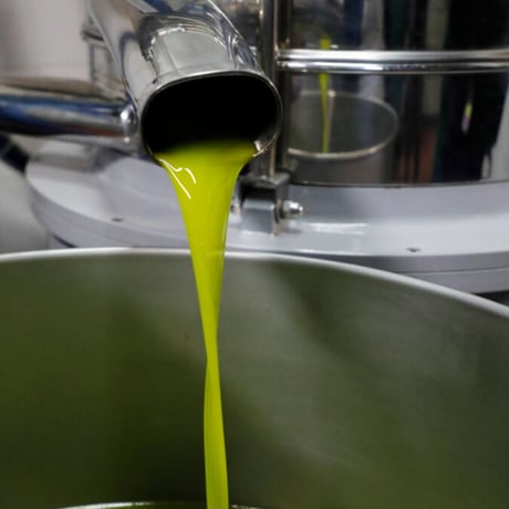 【ギフト】わら一本 500ml   1本