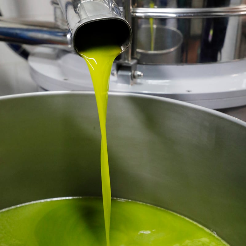 TROIA トロイ raia ライアー タープ オリーブドラブ 未使用品 Troia(トロイ)】-Troia RaiA トロイライアーオリーブドラブ