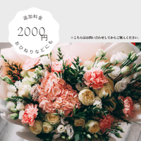 追加料金・おひねり