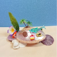 貝の置物　No4（送料込）