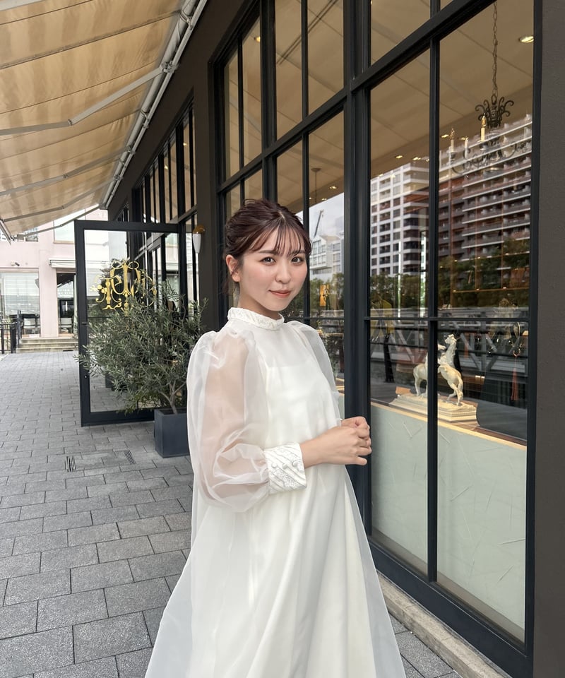 【大幅値下げ　新品】acka sheer sleeve one-piece