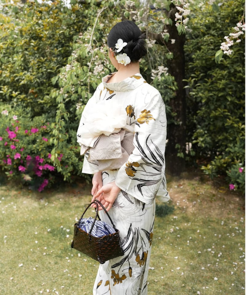 【utatane×Acka.】浴衣セット 菖蒲と糸菊 ちutatane×Acka.浴衣セット 菖蒲と糸菊 浴衣（菊柄）| utatane