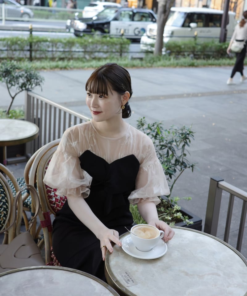 sheer puff dress | Acka.｜ エーシーケーエー｜公式オンラインストア