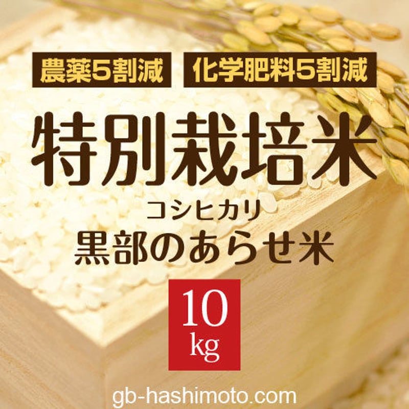 令和6年産新米】特別栽培米 コシヒカリ《白米10kg》 | グリーン 