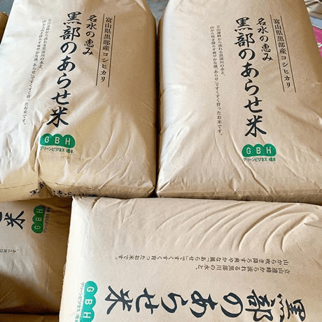 〔定期便・毎月〕《白米10kg》【令和6年産新米】特別栽培米　コシヒカリ