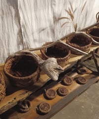 N様専用