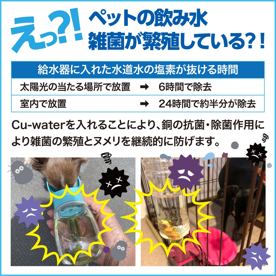 5cd9126aa894524c545b6412