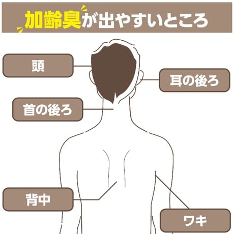 1枚：抗菌消臭銅繊維まくらカバー（Mサイズ）