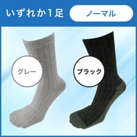 1足：ノーマルタイプ：銅繊維除菌消臭靴下