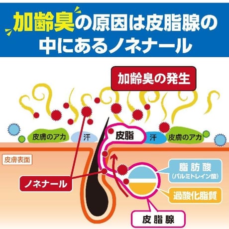 1枚：抗菌消臭銅繊維まくらカバー（Mサイズ）