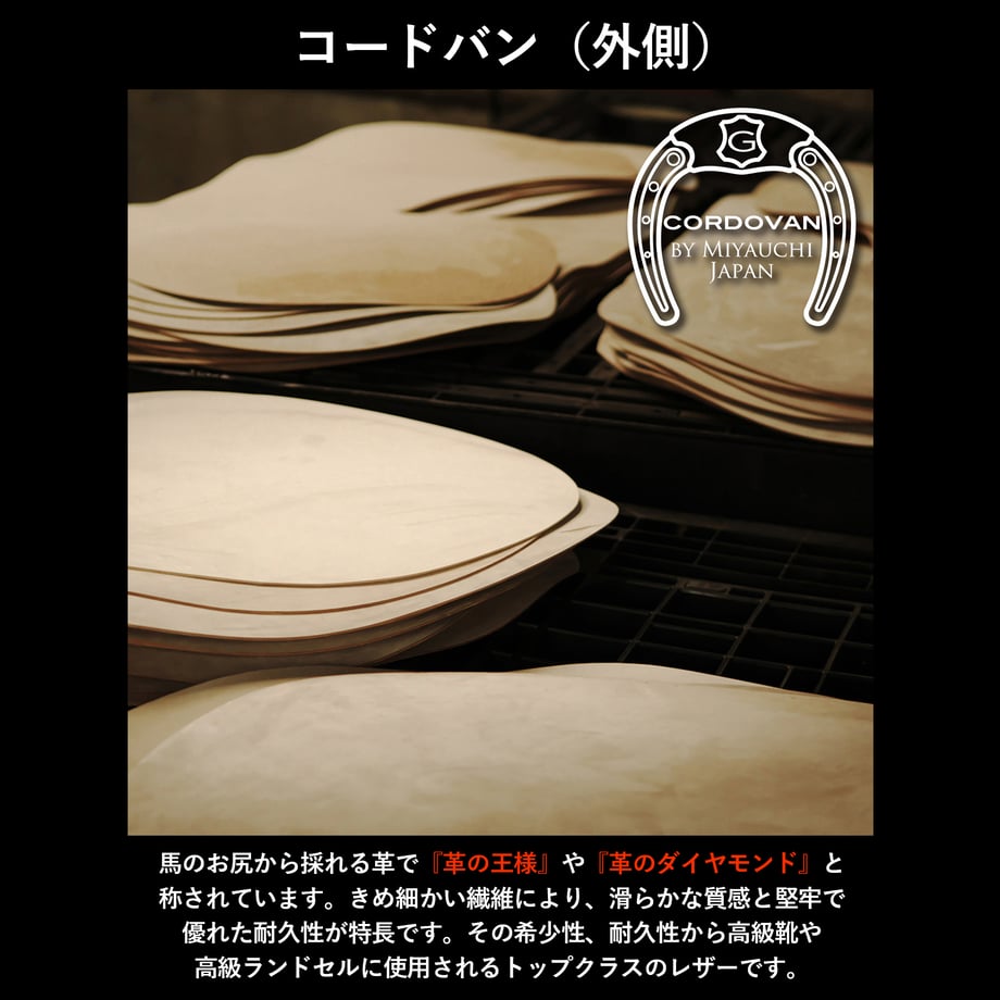 69496c309ecae6a9fcad5488