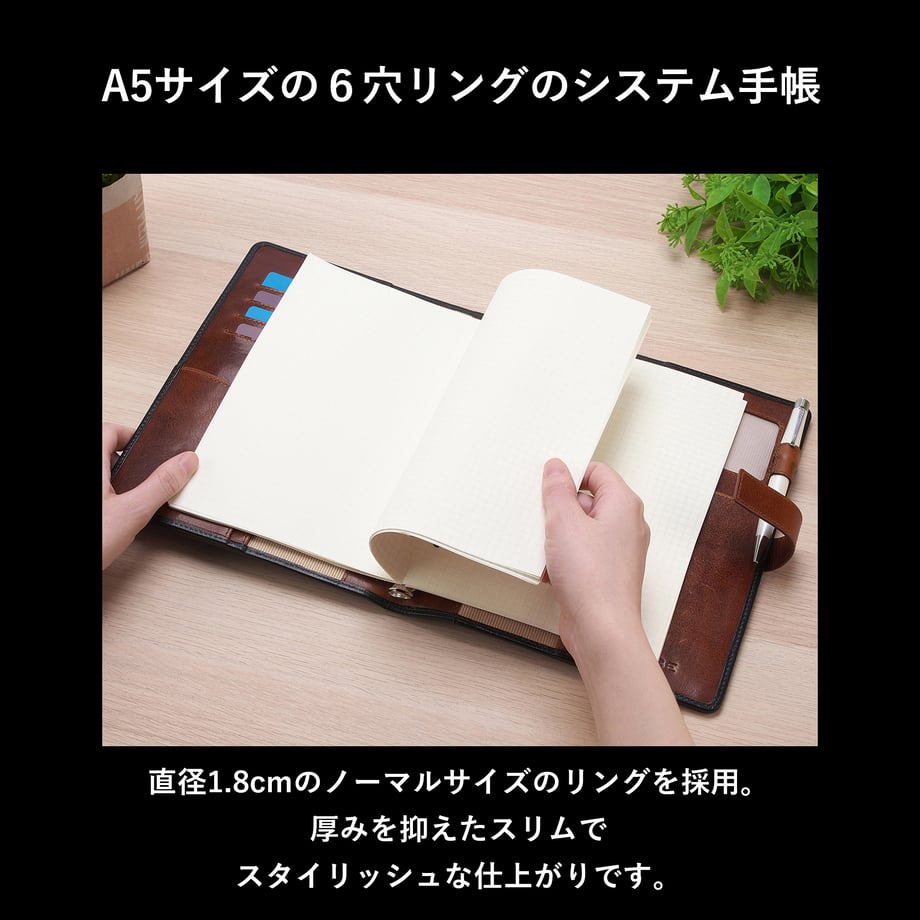 67795c1ee5a6e6109007dc45