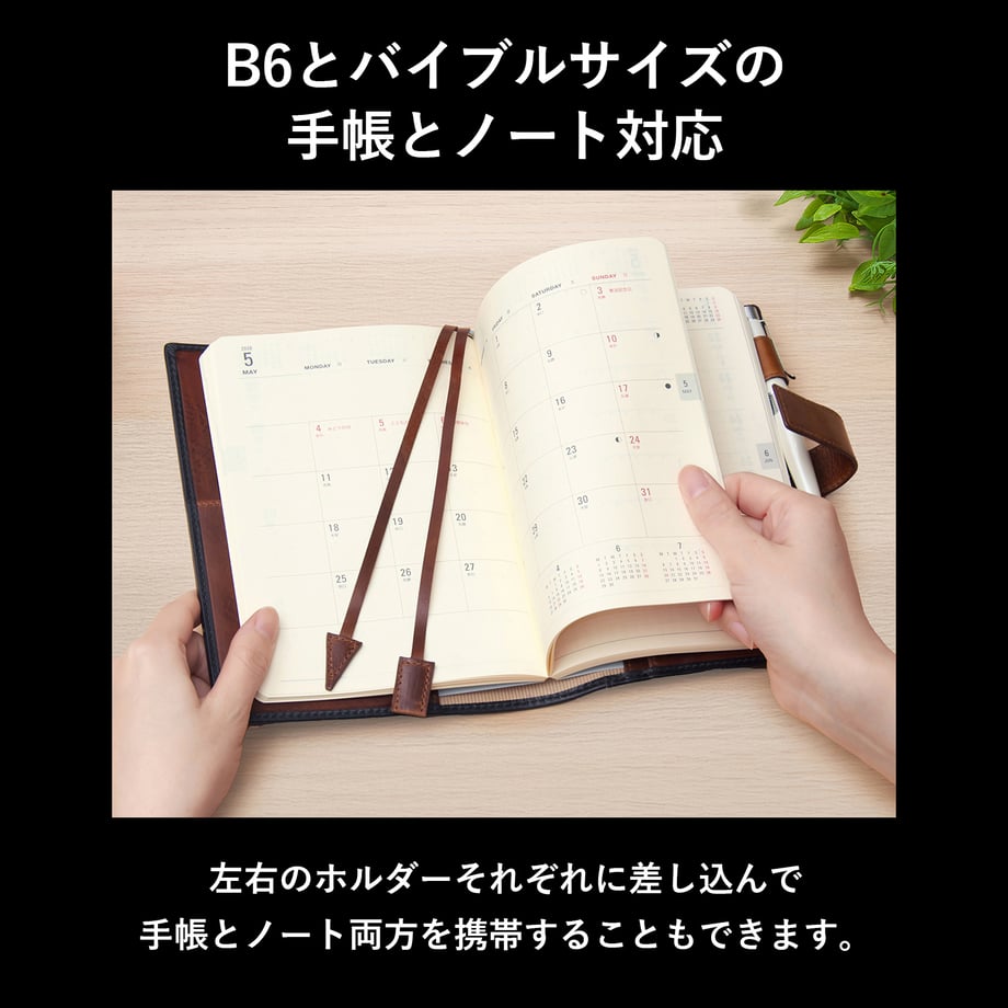 6919f0c9be9f7ec9e7955c9c