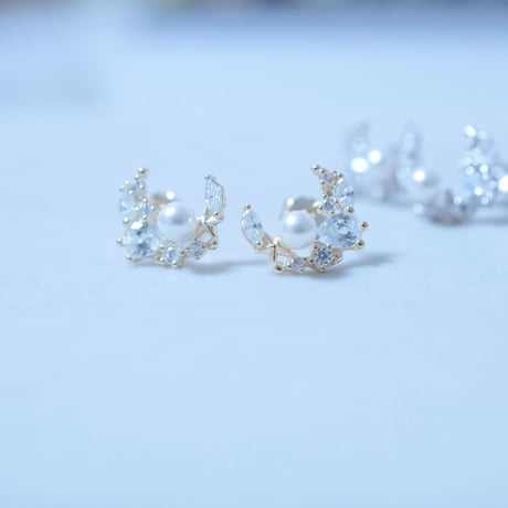 kapital × BLANCA +K 蛸唐草 たこ唐草 ピアス シルバー 撒き レア