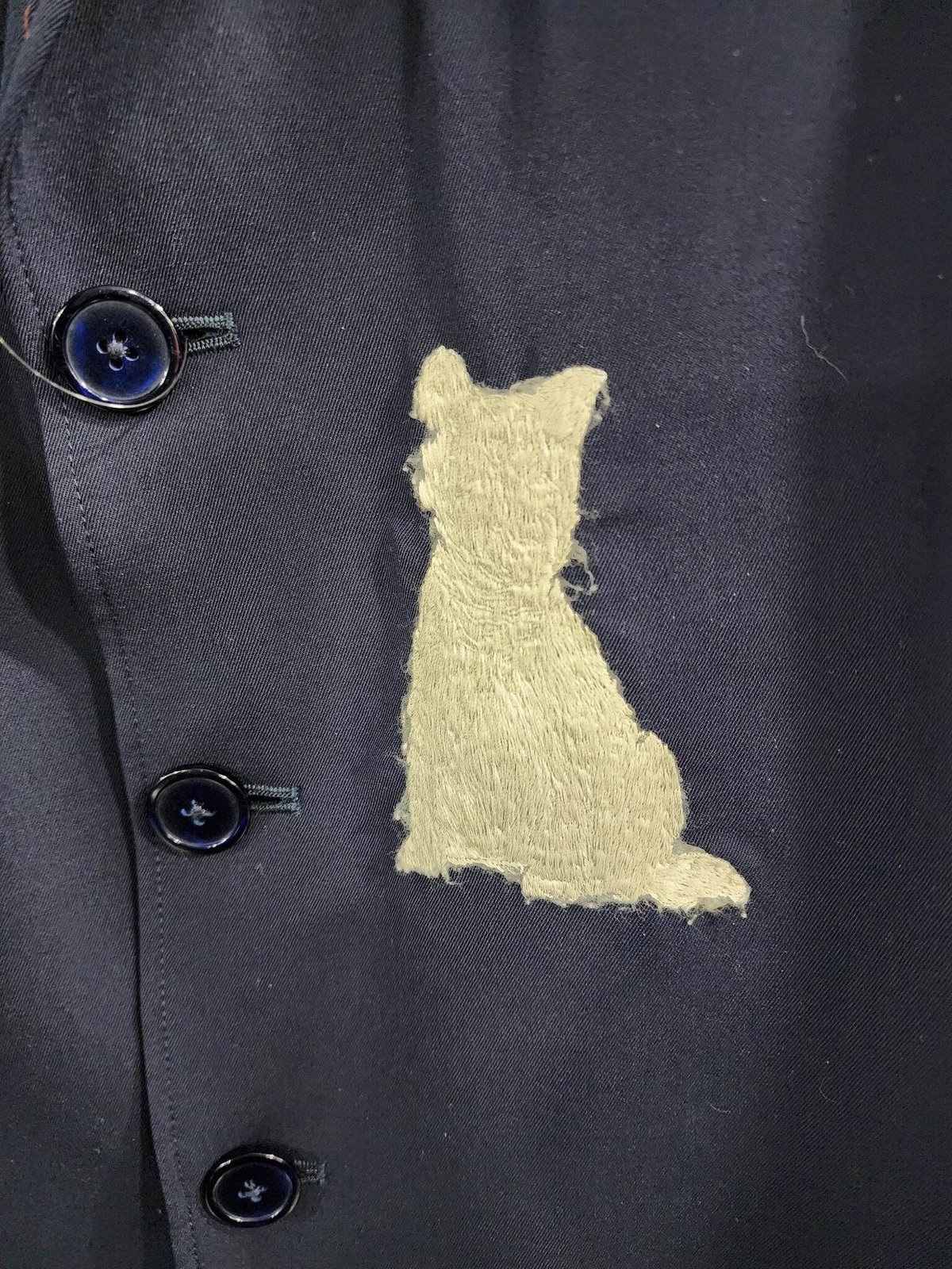 fit=scale-down,w=1200