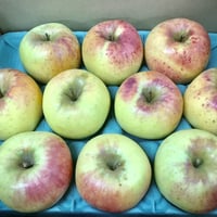 【予約販売】お買い得りんご（ぐんま名月）3kg箱