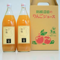 たくみの里無添加りんごジュース 2本（ぐんま名月）