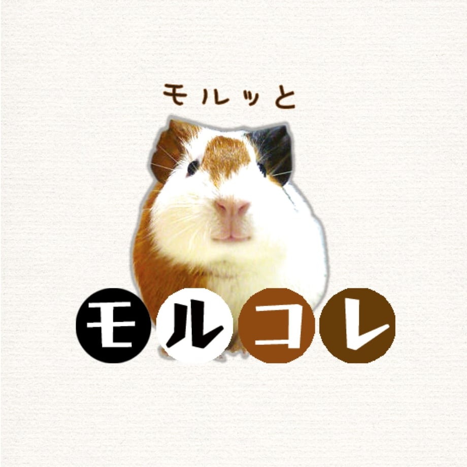 5cc6f47c5845c81fd6f4e9ba
