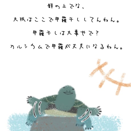 ゼニガメの日常〜日々是（ひびこれ）正ノ助 -MASA NO SUKE DAYS〜