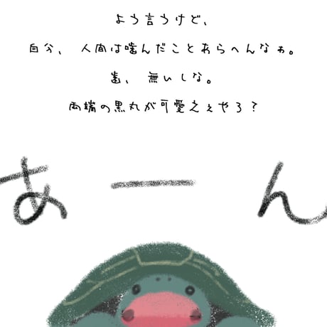 ゼニガメの日常〜日々是（ひびこれ）正ノ助 -MASA NO SUKE DAYS〜