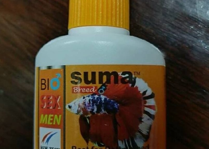 スーマ suma セット ベタ SUMA スーマ GILL&TAIL : ベタ専門店 ペットフィッシュ - 通販